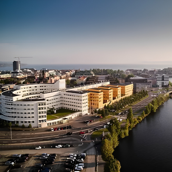 Jönköping University